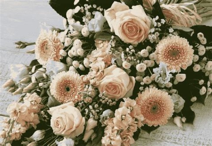 How Did Drummer Die? Marcus Papanikolaou Accident Linked To Death - SarkariResult