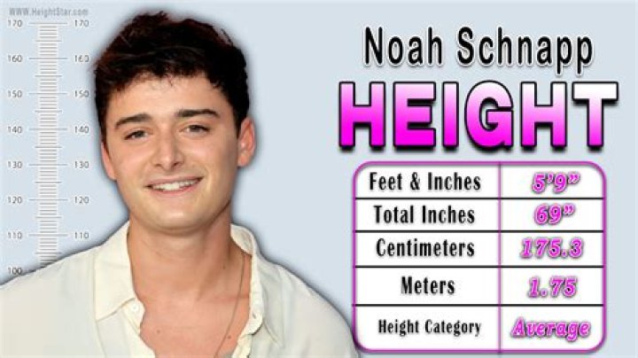 Noah Schnapp Height, Weight, Body Measurements, Shoe Size